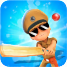 小辛格姆板球游戏