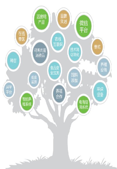 牧集令客户端下载