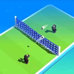 两个足球无限金币版