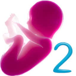 婴儿模拟器2中文版游戏