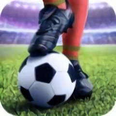 足球锦标赛内测版