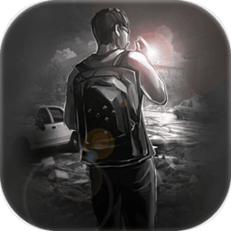 活下去无限钻石版