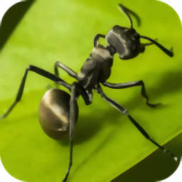 行星蚂蚁中文版