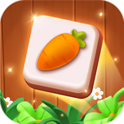 瓷砖大师手机版