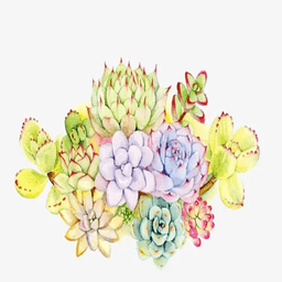 小草多肉日记手机版