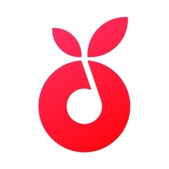 小叶子爱练琴手机版