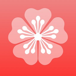 梅花图片视频编辑最新版