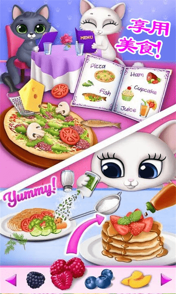 公主宠物小猫咪最新版下载