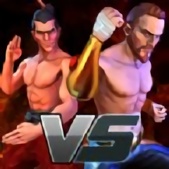 功夫街战斗英雄游戏(clash of fighters)