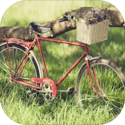 3d模拟自行车越野手机版