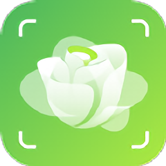 识别花app