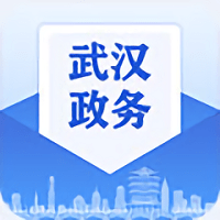 武汉政务app