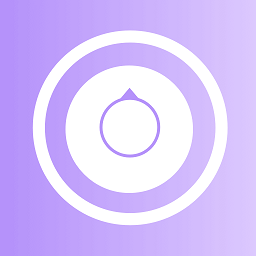 决定器大转盘app