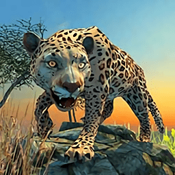 森林动物联盟游戏