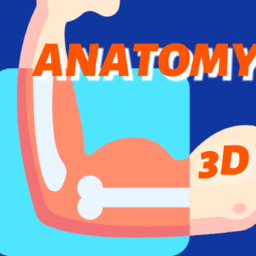 鸿物人体骨骼手机版