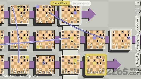 有多元宇宙时间旅行的五维国际象棋手机版