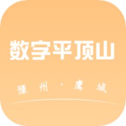 数字平顶山最新版