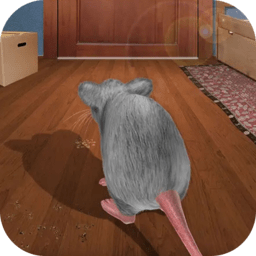 疯狂老鼠王九游版