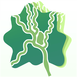 成都新津官方版